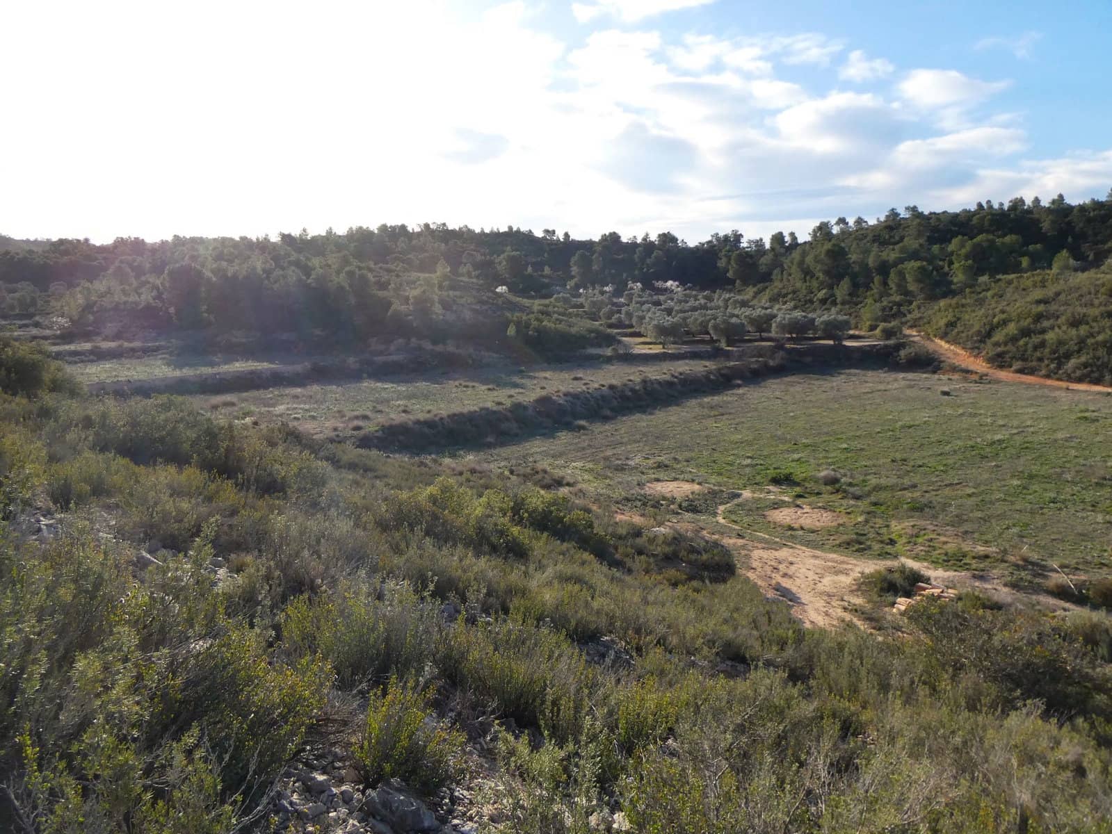 Finca/Country House for sale in Fabara - € 26,000 (Ref: 8135907)