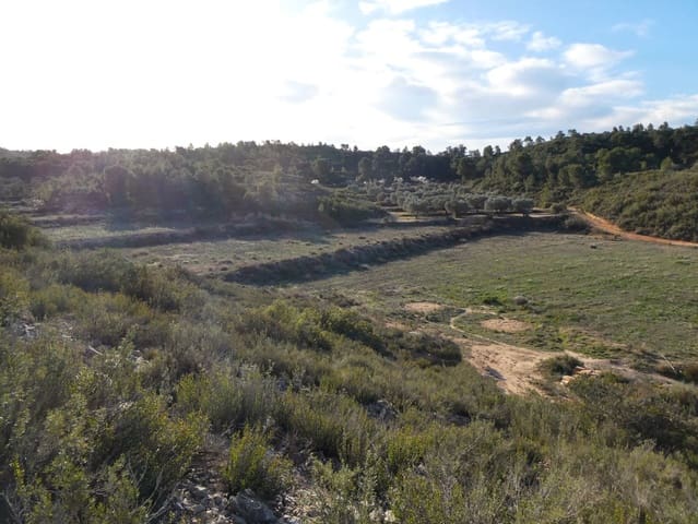 Finca/Landehus til salg i Fabara - € 26.000 (Ref: 8135907)