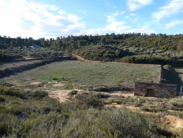 Finca/Landehus til salg i Fabara - € 26.000 (Ref: 8135907)