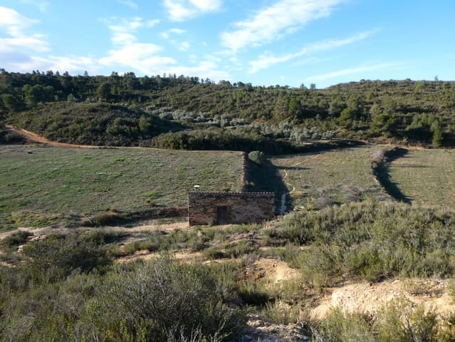 Finca/Landehus til salg i Fabara - € 26.000 (Ref: 8135907)