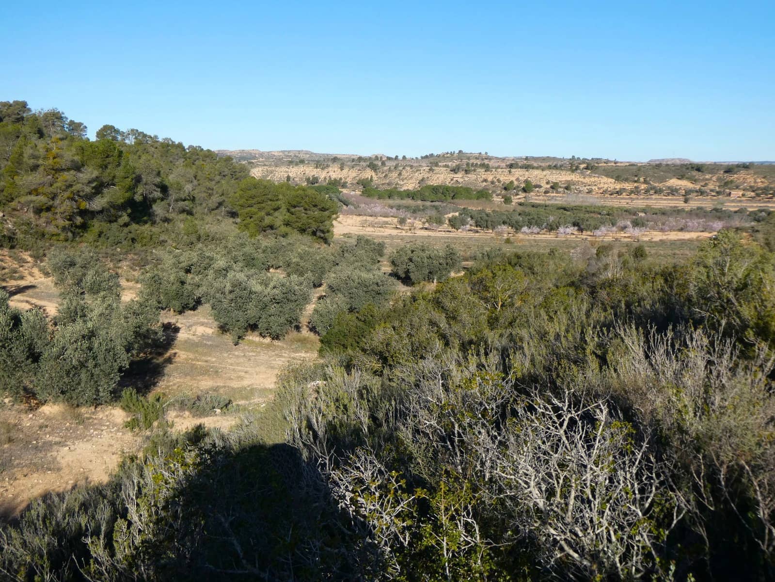 Finca/Country House for sale in Fabara - € 26,000 (Ref: 8135907)