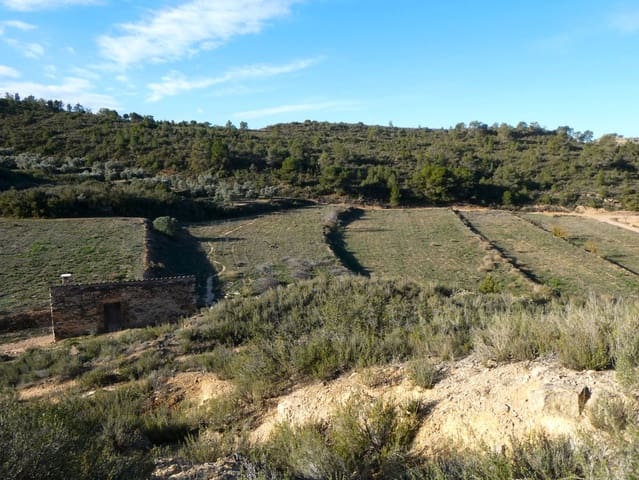 Finca/Landehus til salg i Fabara - € 26.000 (Ref: 8135907)