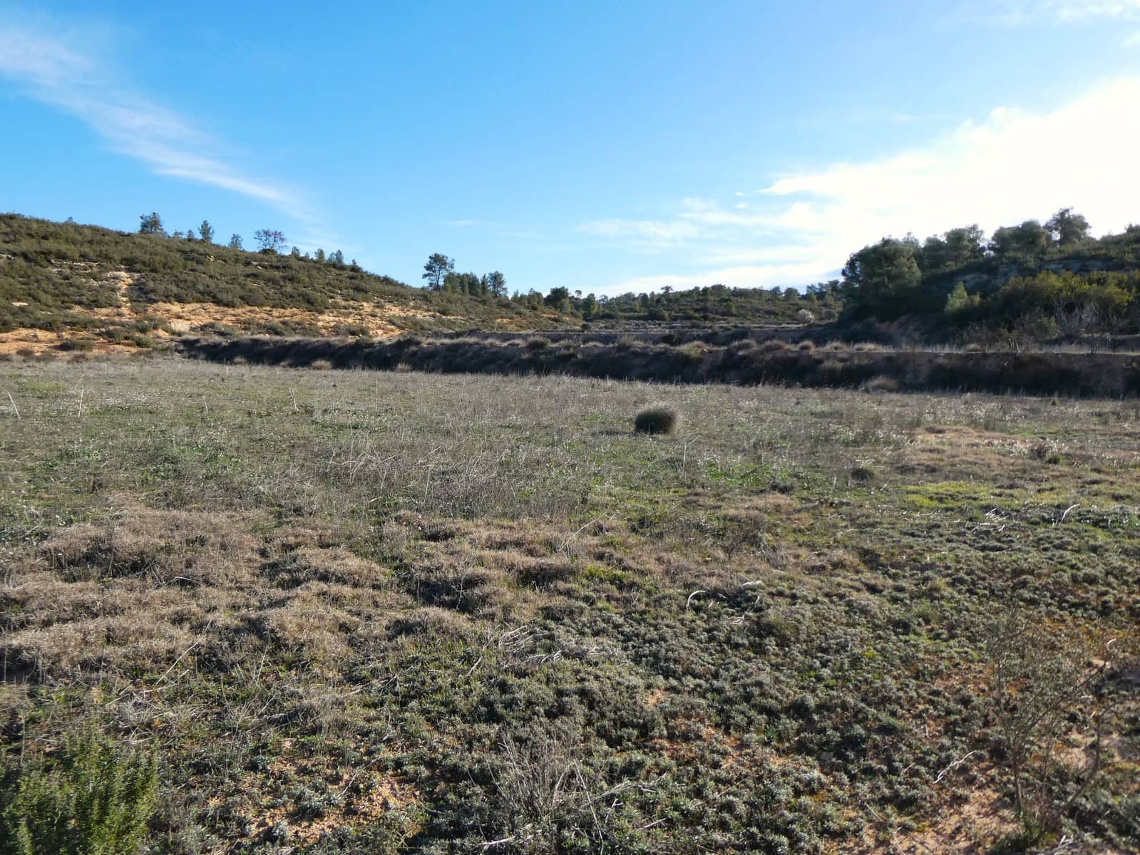 Finca/Country House for sale in Fabara - € 26,000 (Ref: 8135907)