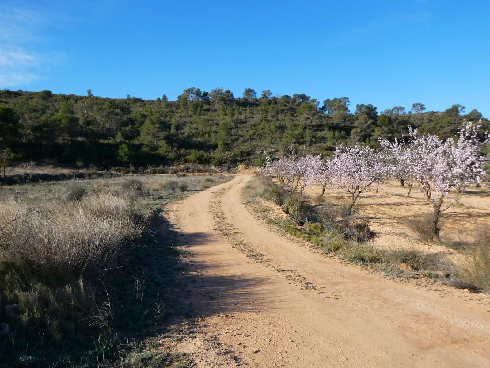 Finca/Country House for sale in Fabara - € 26,000 (Ref: 8135907)