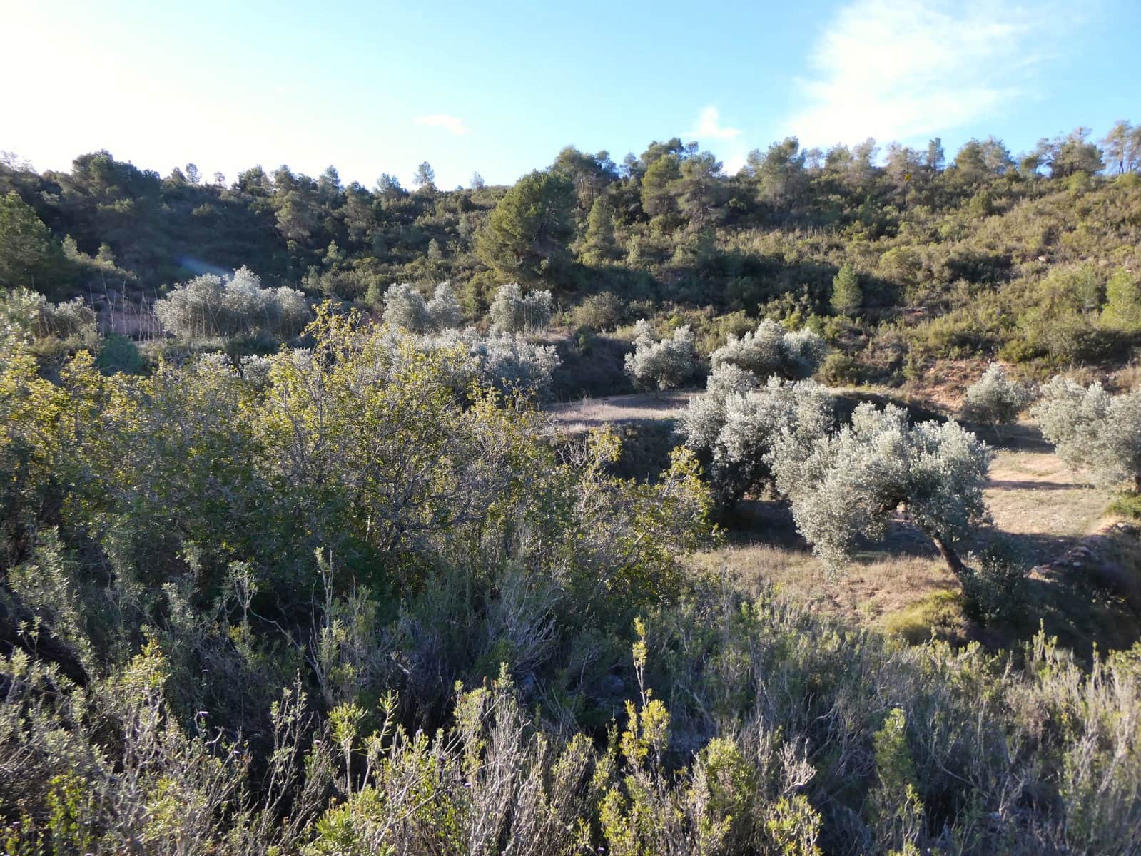 Finca/Country House for sale in Fabara - € 26,000 (Ref: 8135907)