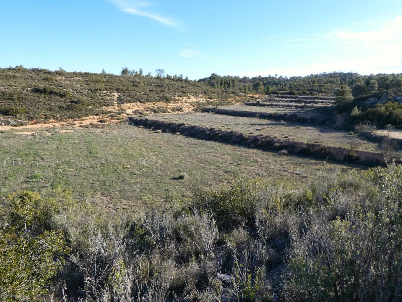 Finca/Country House for sale in Fabara - € 26,000 (Ref: 8135907)