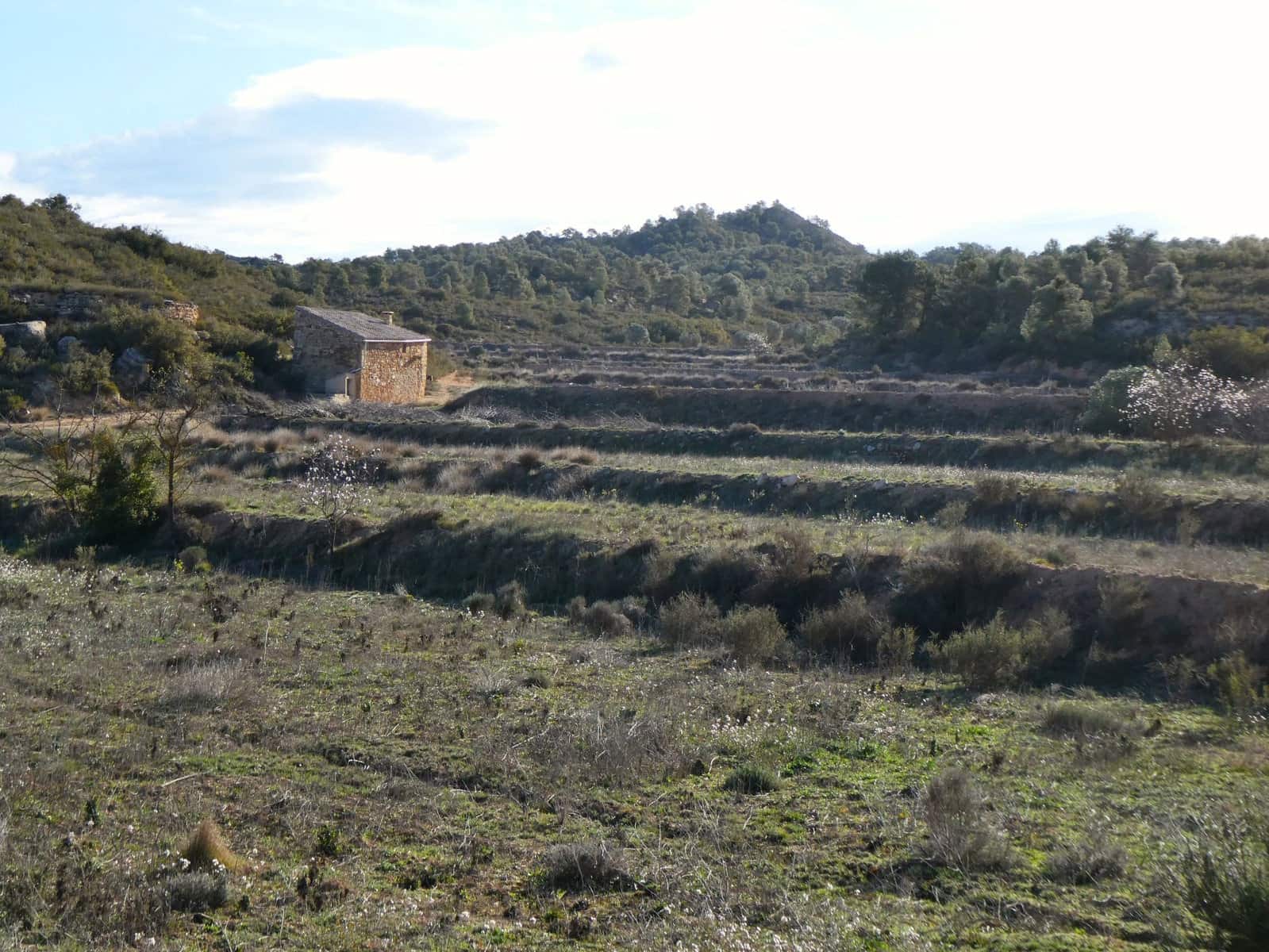 Finca/Country House for sale in Fabara - € 26,000 (Ref: 8135907)