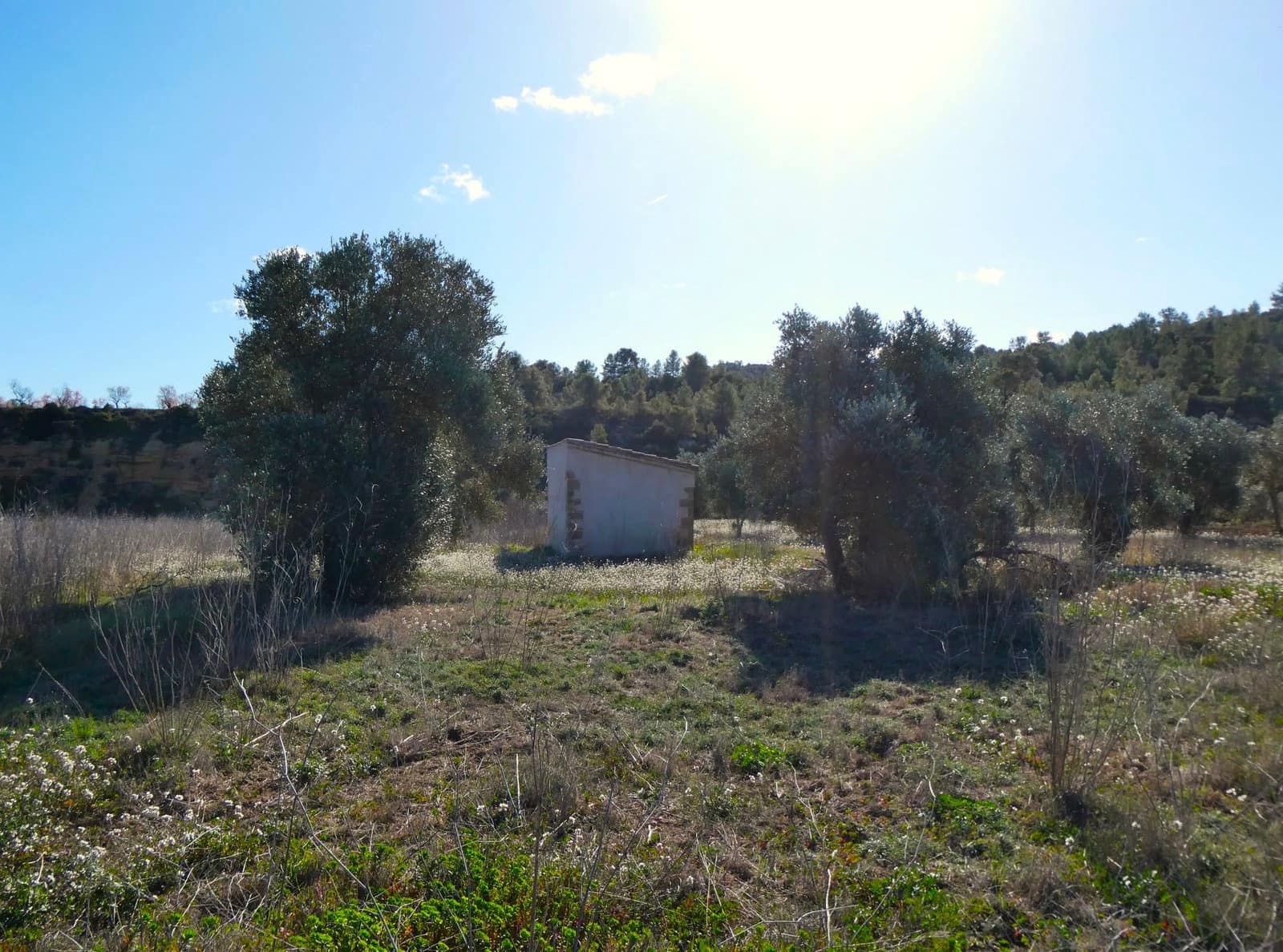 1 sypialnia Finka/Dom wiejski na sprzedaż w Calaceite - 24 000 € (Ref: 8143027)