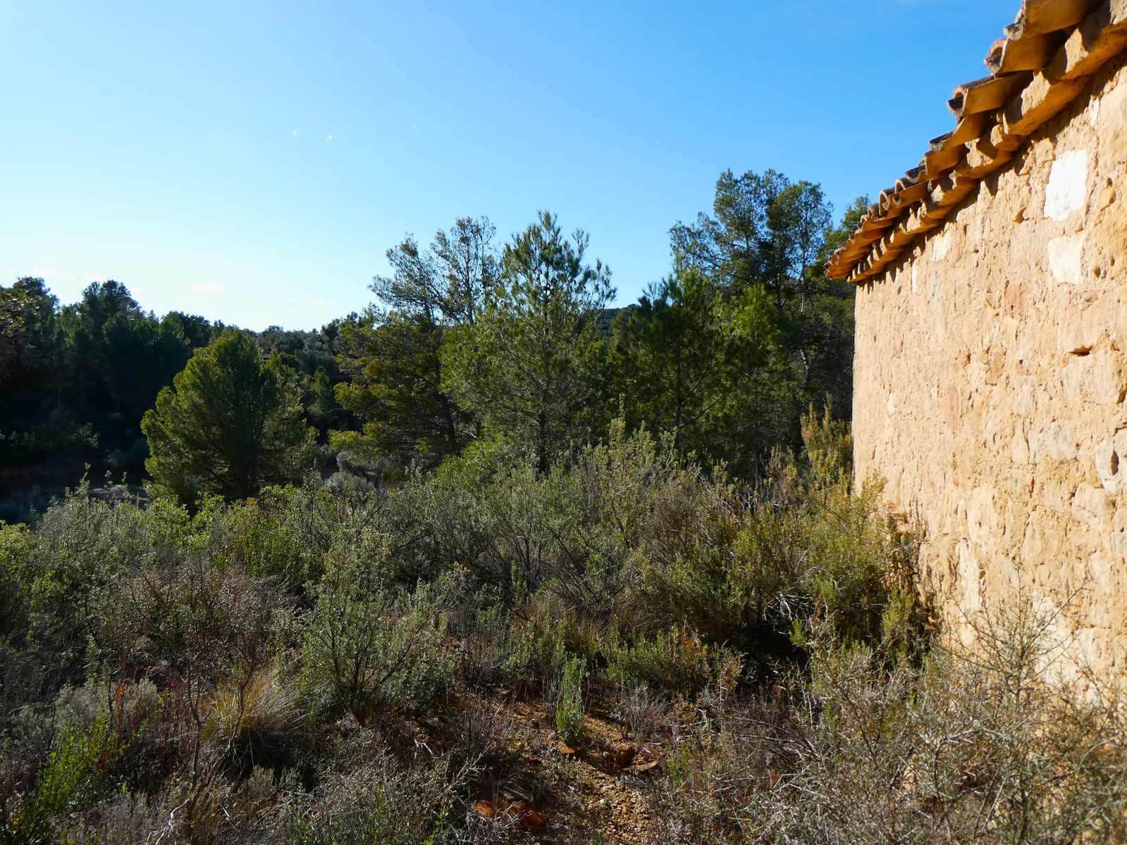 Maalaistalo myytävänä paikassa Mazaleon - 10 500 € (Ref: 8227341)