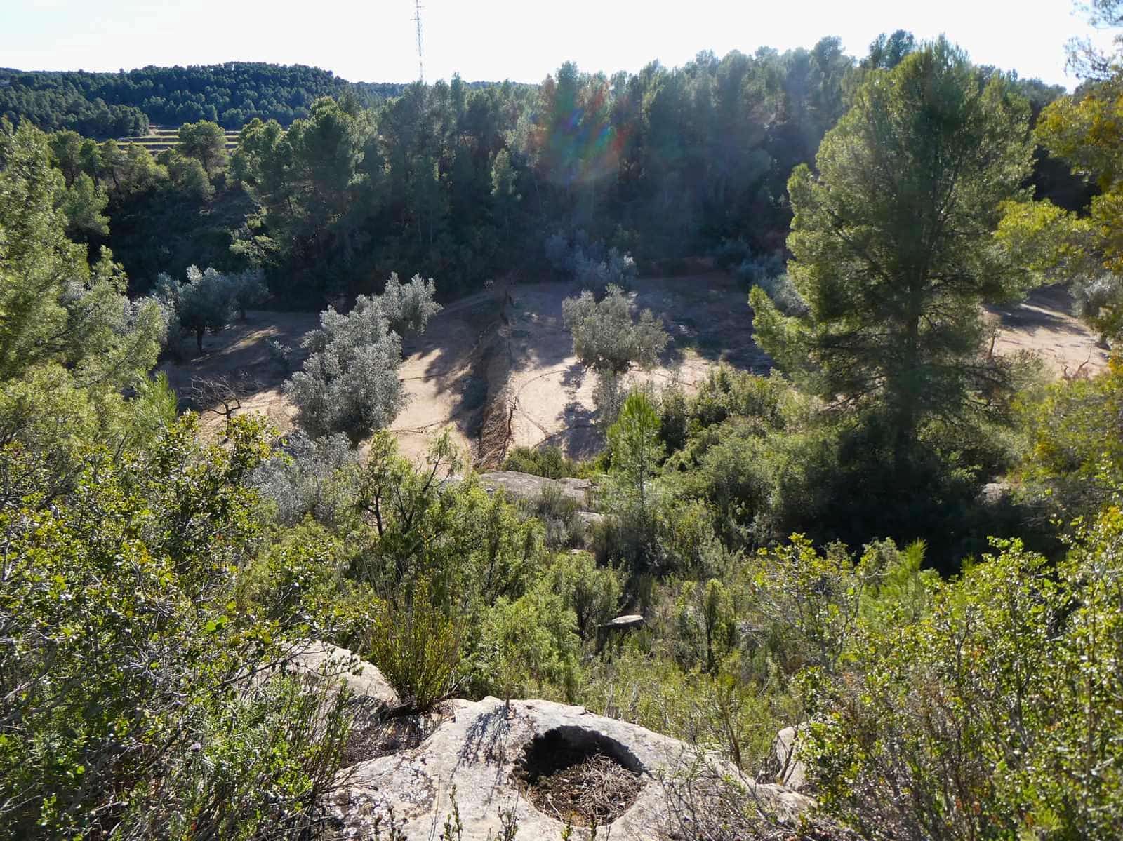 Maalaistalo myytävänä paikassa Mazaleon - 10 500 € (Ref: 8227341)