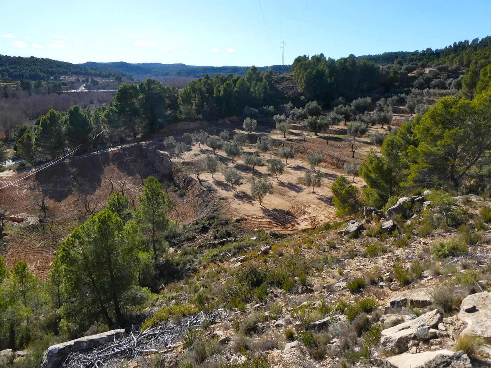 Maalaistalo myytävänä paikassa Mazaleon - 10 500 € (Ref: 8227341)