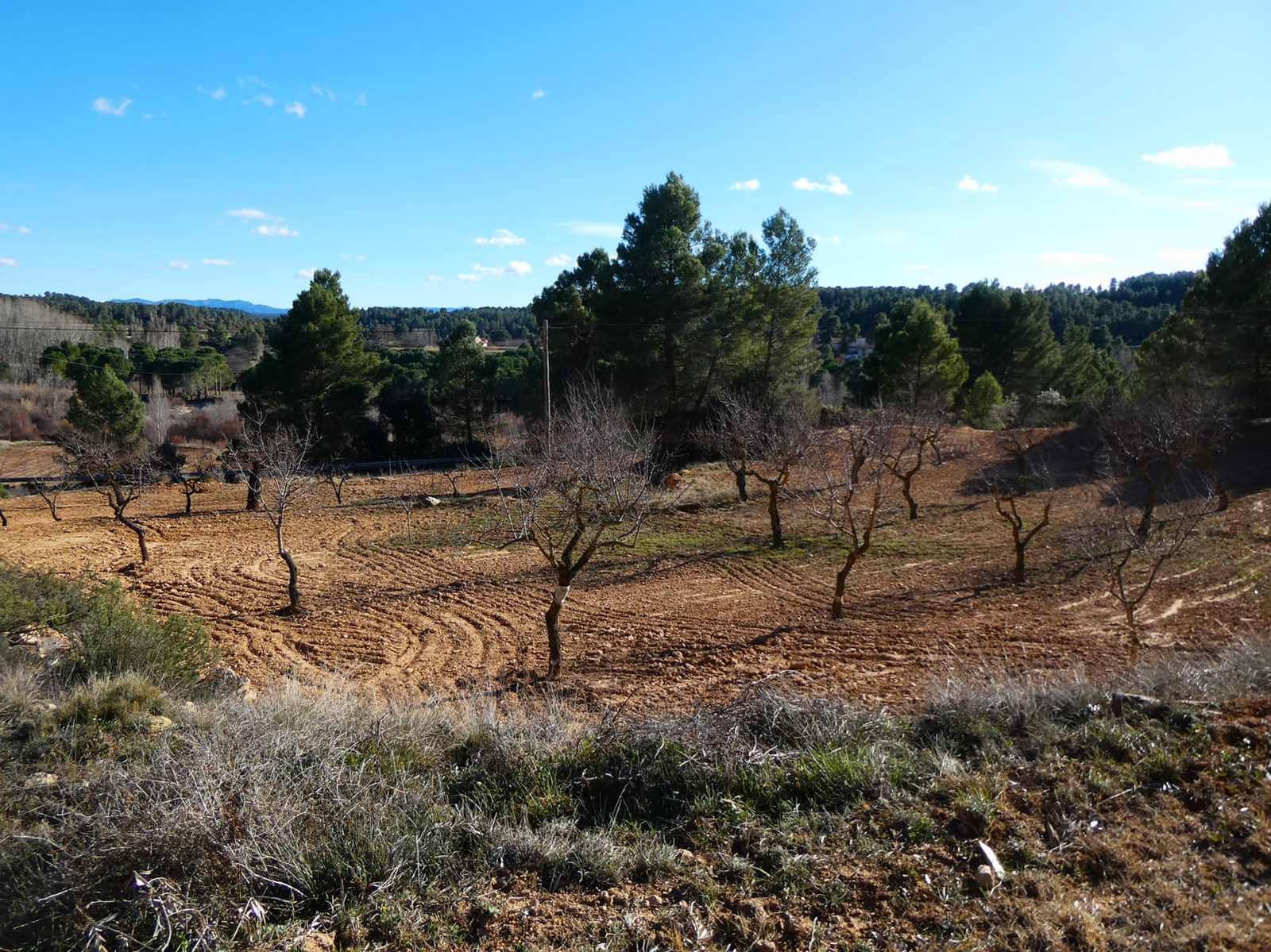 Maalaistalo myytävänä paikassa Mazaleon - 10 500 € (Ref: 8227341)