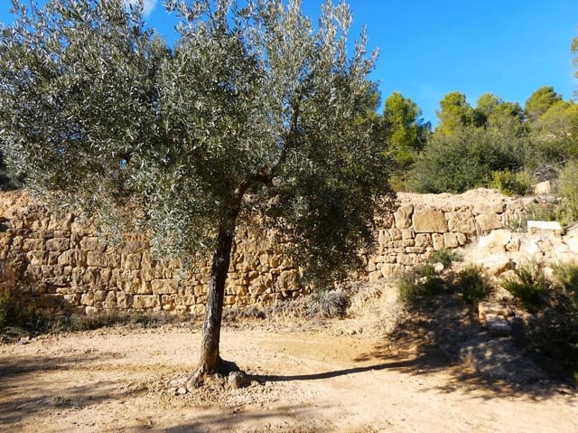 Maalaistalo myytävänä paikassa Mazaleón - 10 500 € (Ref: 8227341)