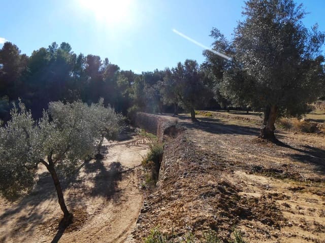 Maalaistalo myytävänä paikassa Mazaleón - 10 500 € (Ref: 8227341)