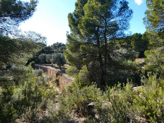 Maalaistalo myytävänä paikassa Mazaleón - 10 500 € (Ref: 8227341)