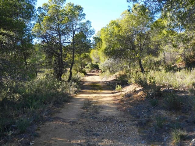 Maalaistalo myytävänä paikassa Mazaleón - 10 500 € (Ref: 8227341)