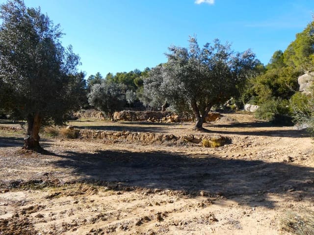 Maalaistalo myytävänä paikassa Mazaleón - 10 500 € (Ref: 8227341)