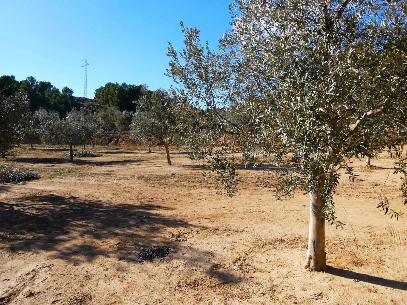 Finca/Country House for sale in Mazaleon - € 10,500 (Ref: 8227341)