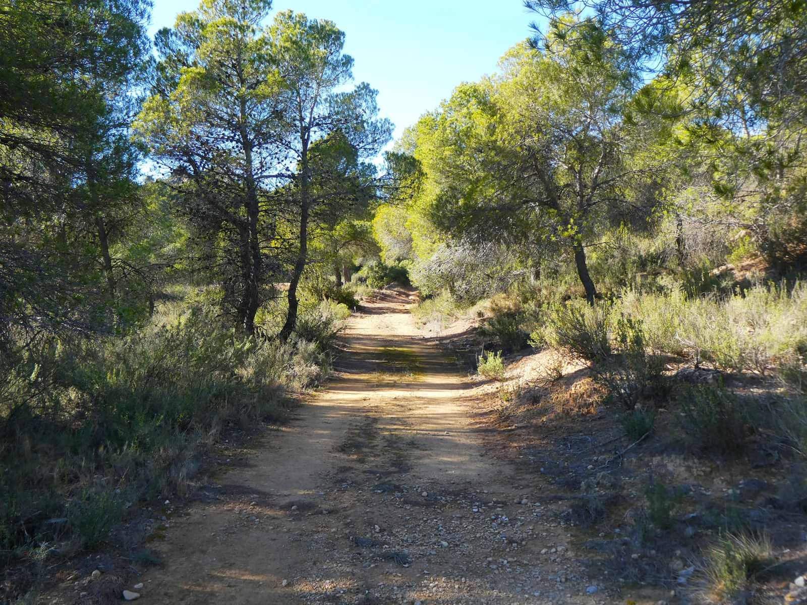 Finca/Country House for sale in Mazaleon - € 10,500 (Ref: 8227341)