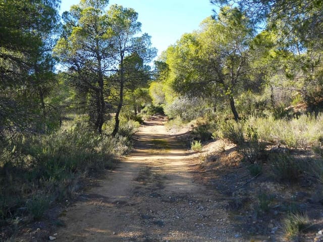 Finca/Hus på landet till salu i Mazaleón - 10 500 € (Ref: 8227341)