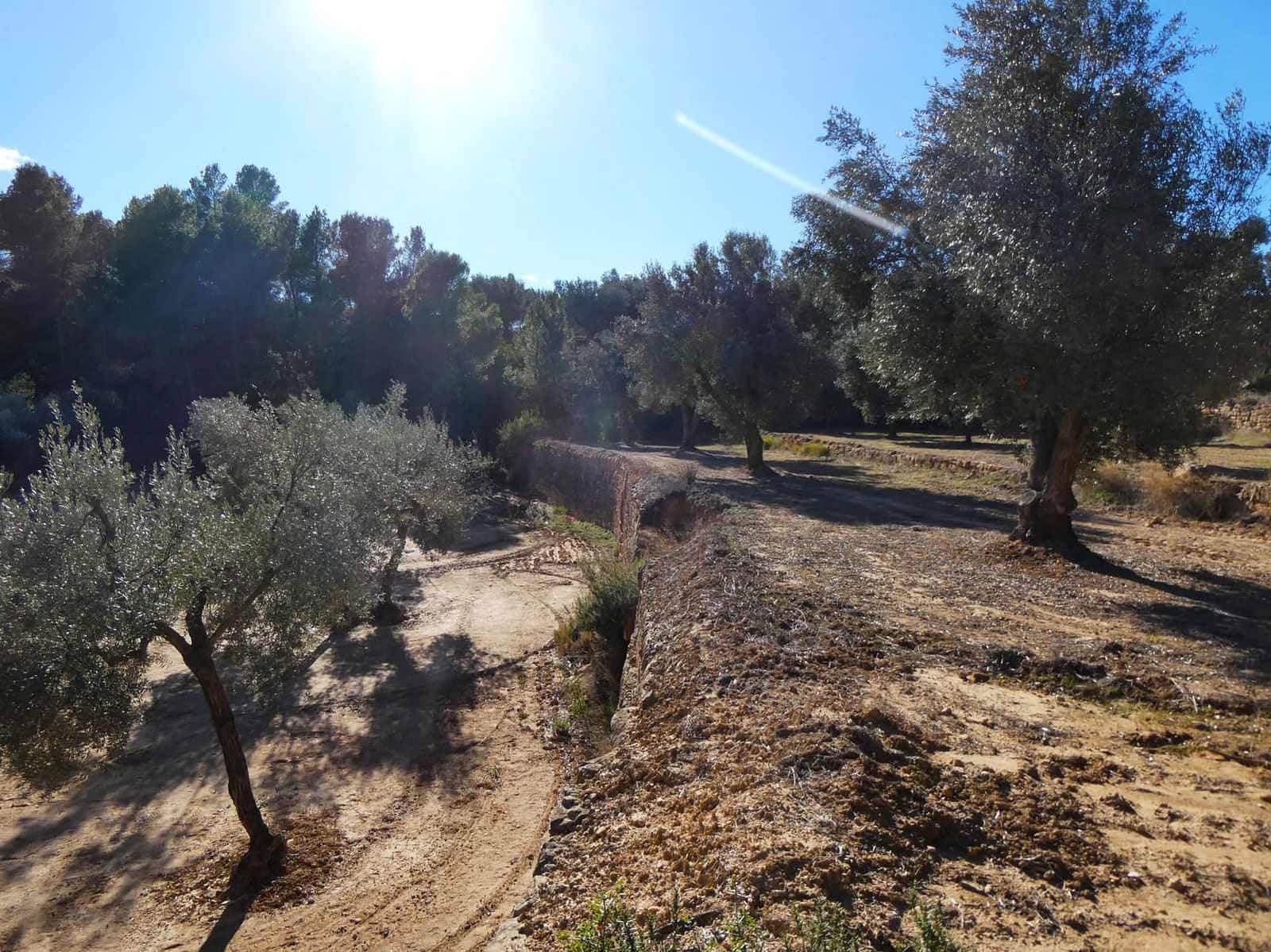Finca/Country House for sale in Mazaleon - € 10,500 (Ref: 8227341)