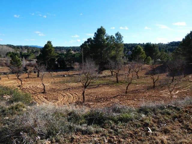 Finca/Hus på landet till salu i Mazaleón - 10 500 € (Ref: 8227341)