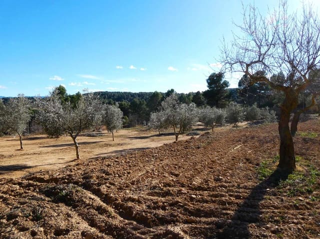 Finca/Hus på landet till salu i Mazaleón - 10 500 € (Ref: 8227341)