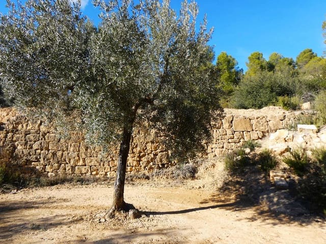 Finca/Hus på landet till salu i Mazaleón - 10 500 € (Ref: 8227341)