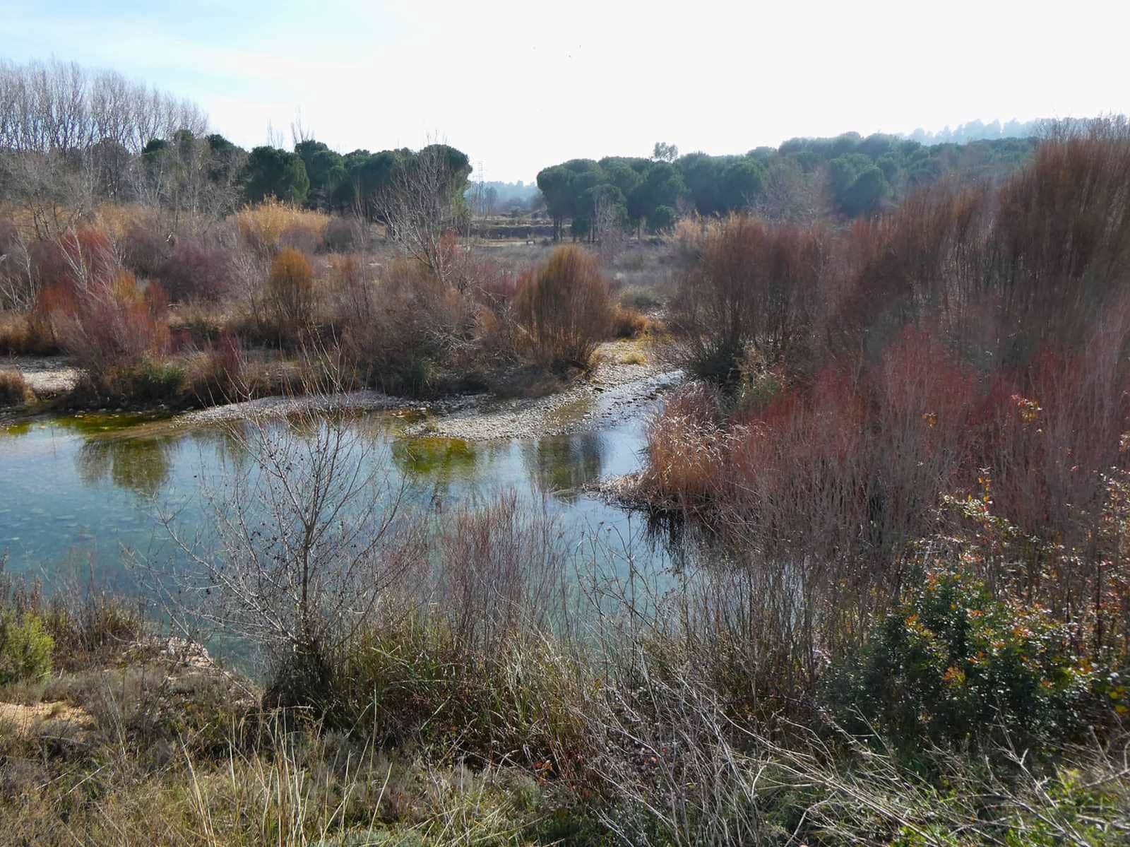 Finca/Country House for sale in Mazaleon - € 10,500 (Ref: 8227341)