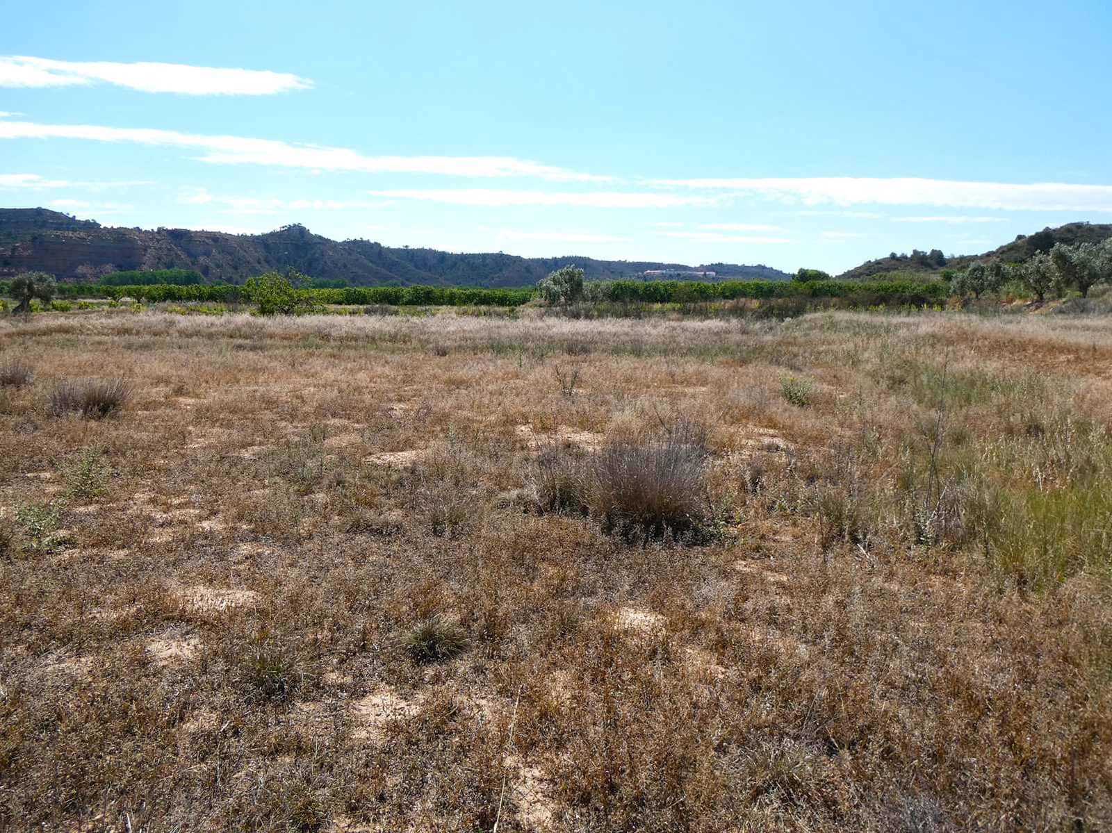 Finca/Herregård til salgs i Fabara - € 29 000 (Ref: 8323978)