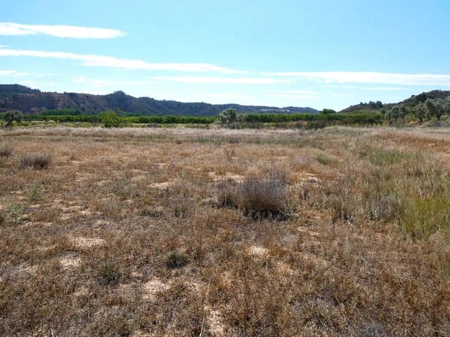 Finca/Landehus til salg i Fabara - € 29.000 (Ref: 8323978)
