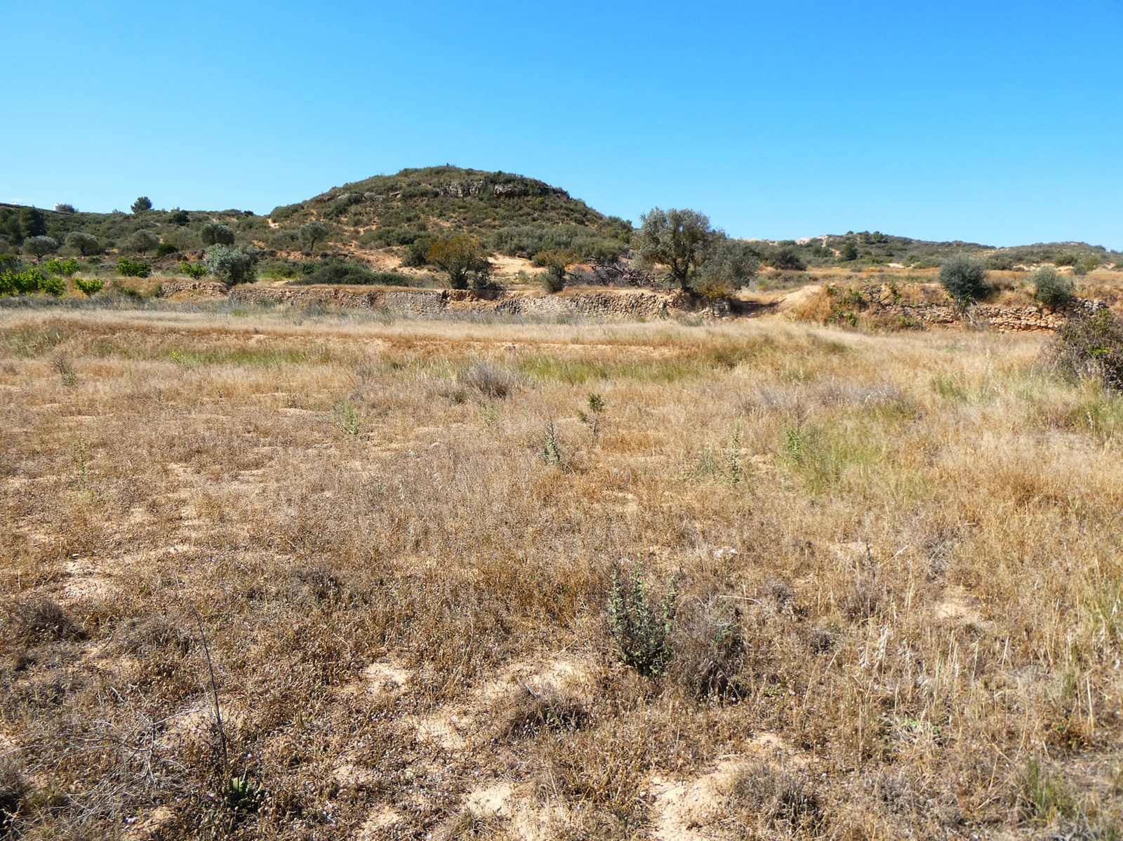 Finca/Herregård til salgs i Fabara - € 29 000 (Ref: 8323978)