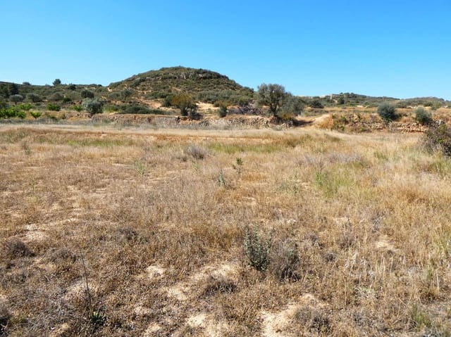Finca/Landehus til salg i Fabara - € 29.000 (Ref: 8323978)