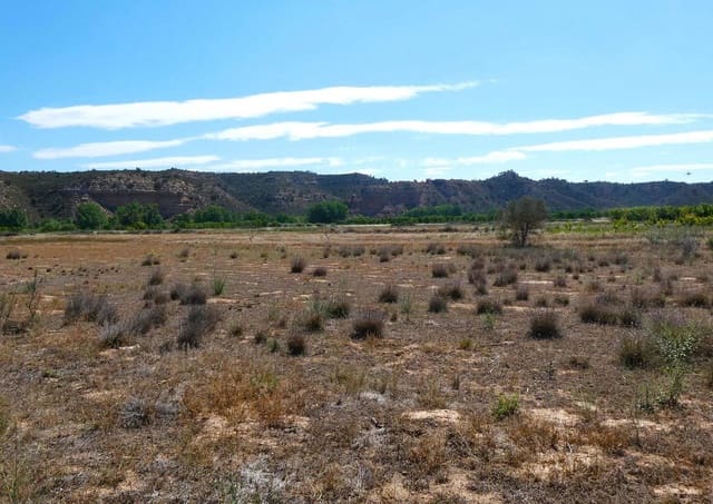 Finca/Landehus til salg i Fabara - € 29.000 (Ref: 8323978)