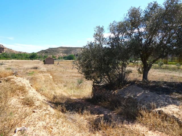 Finca/Landehus til salg i Fabara - € 29.000 (Ref: 8323978)
