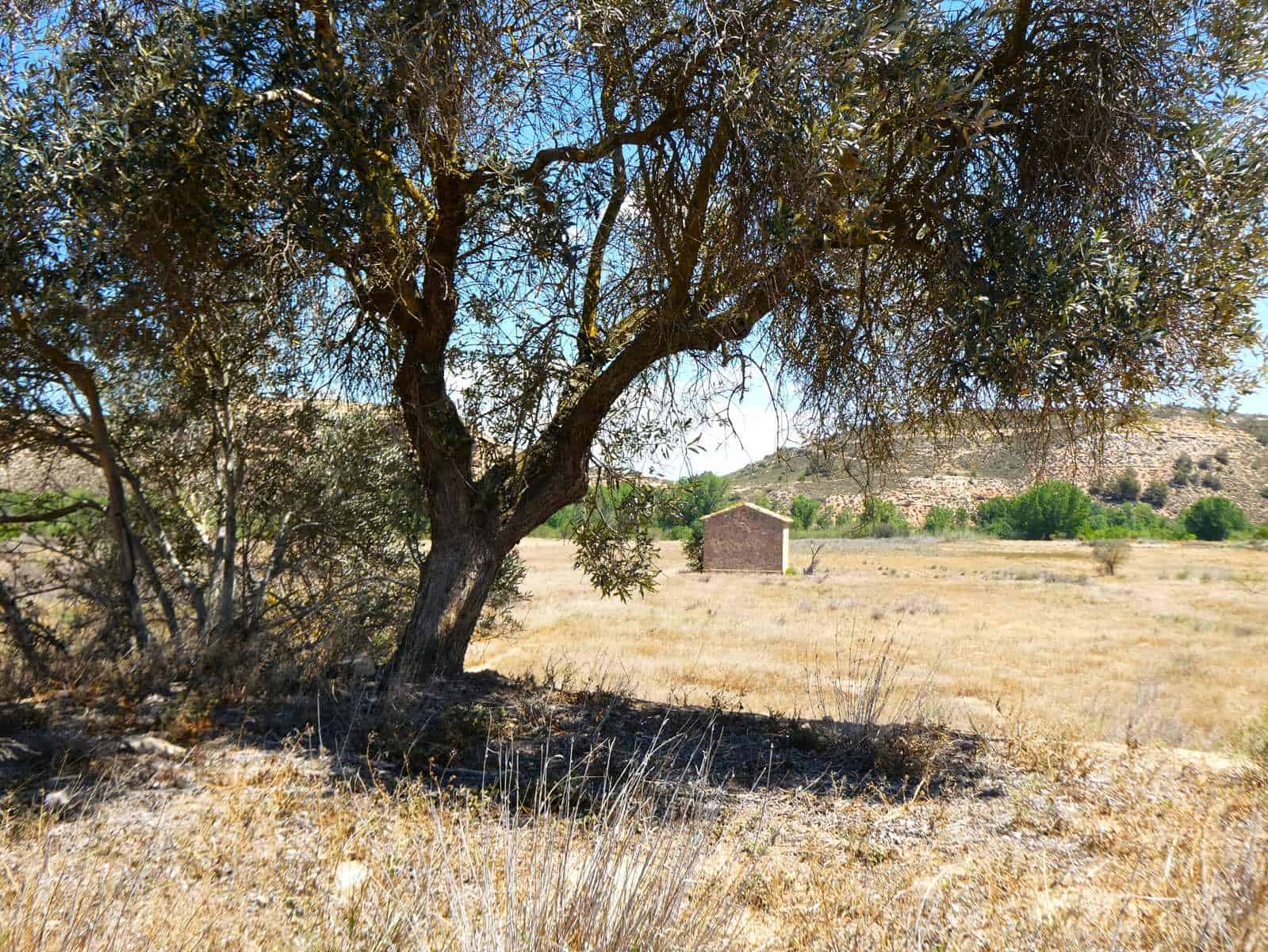 Finca/Herregård til salgs i Fabara - € 29 000 (Ref: 8323978)
