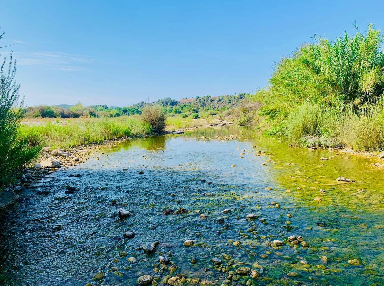 Finca/Landehus til salg i Mazaleon - € 22.000 (Ref: 8528486)