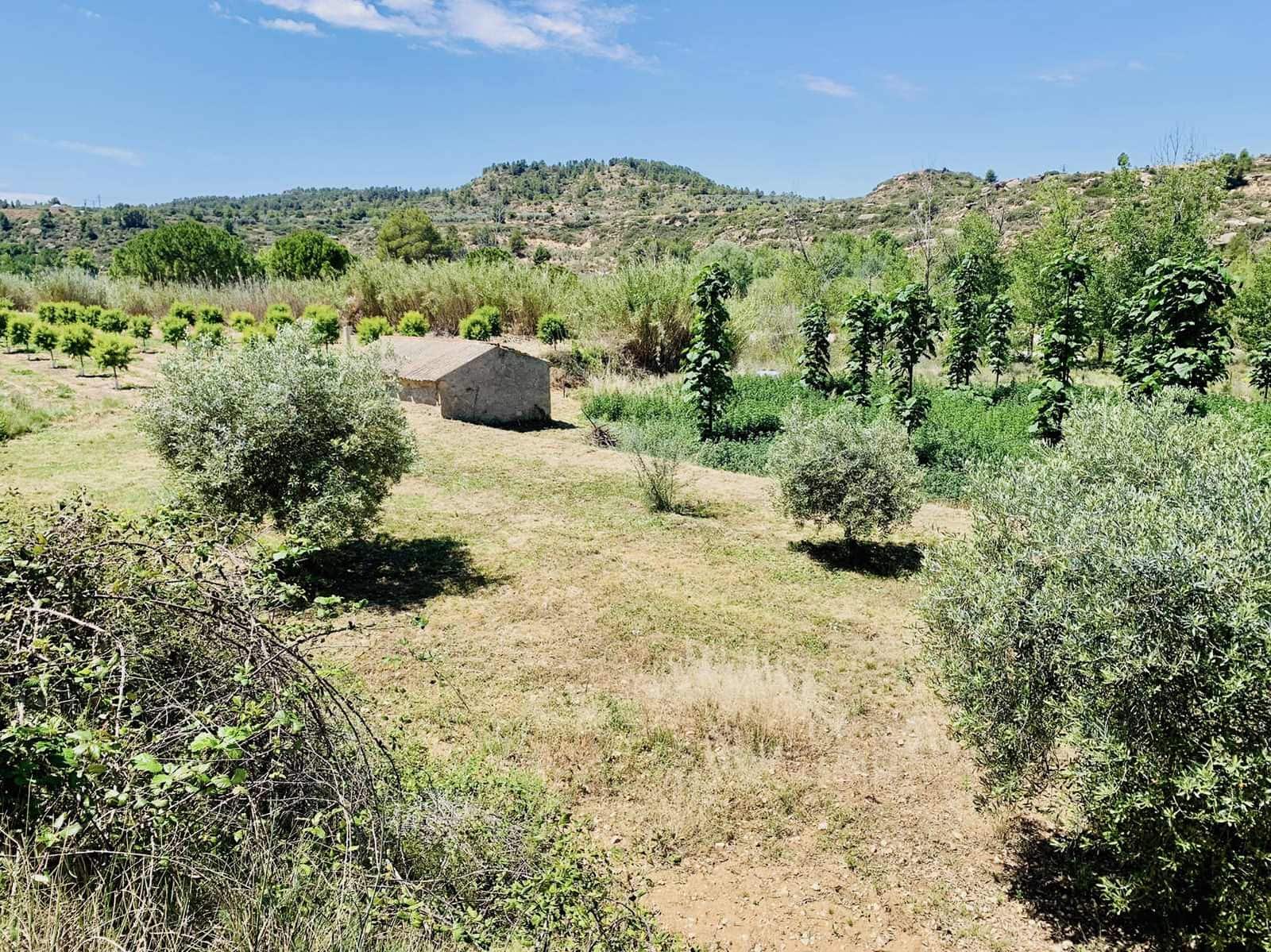 Finca/Landehus til salg i Mazaleon - € 22.000 (Ref: 8528486)