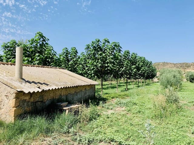 Finca/Landehus til salg i Mazaleón - € 22.000 (Ref: 8528486)