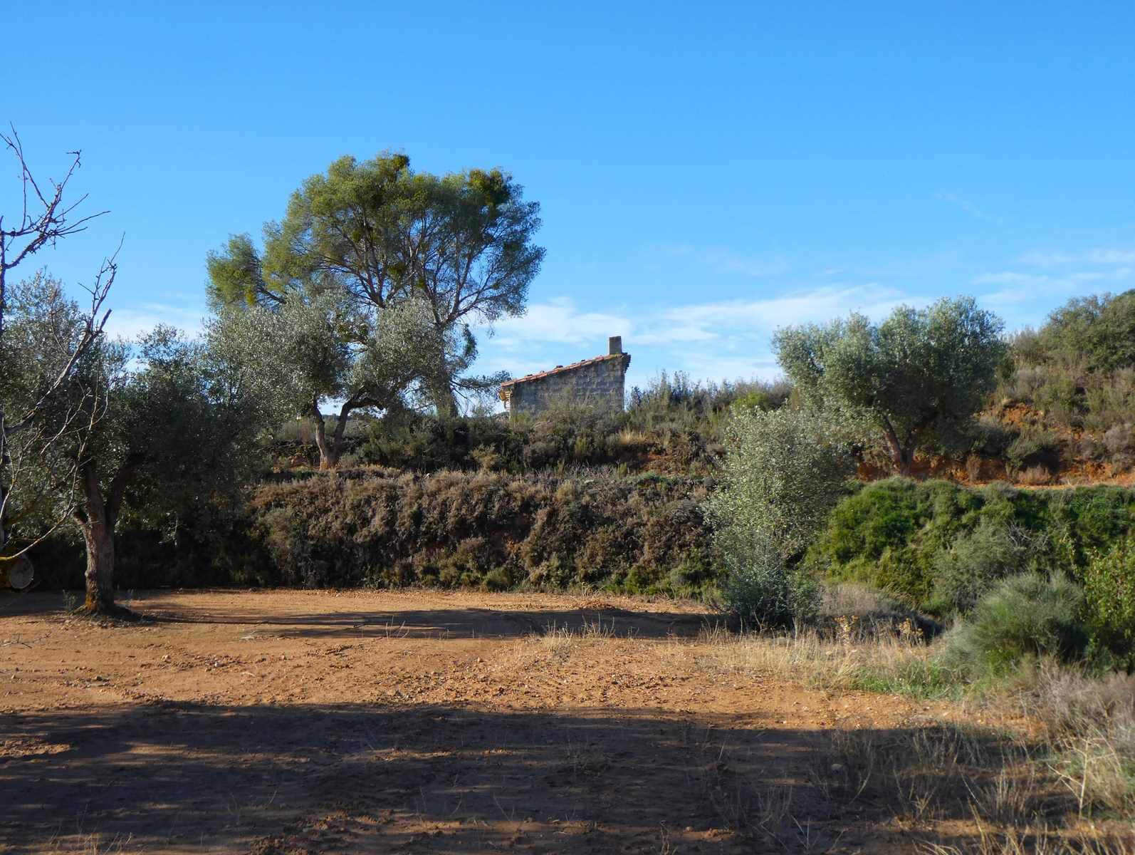 Finca/Casa Rural en Maella en venta - 15.000 € (Ref: 8575834)