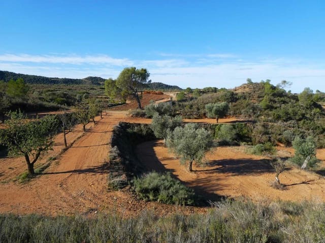 Finca/Casa Rural en Maella en venta - 15.000 € (Ref: 8575834)