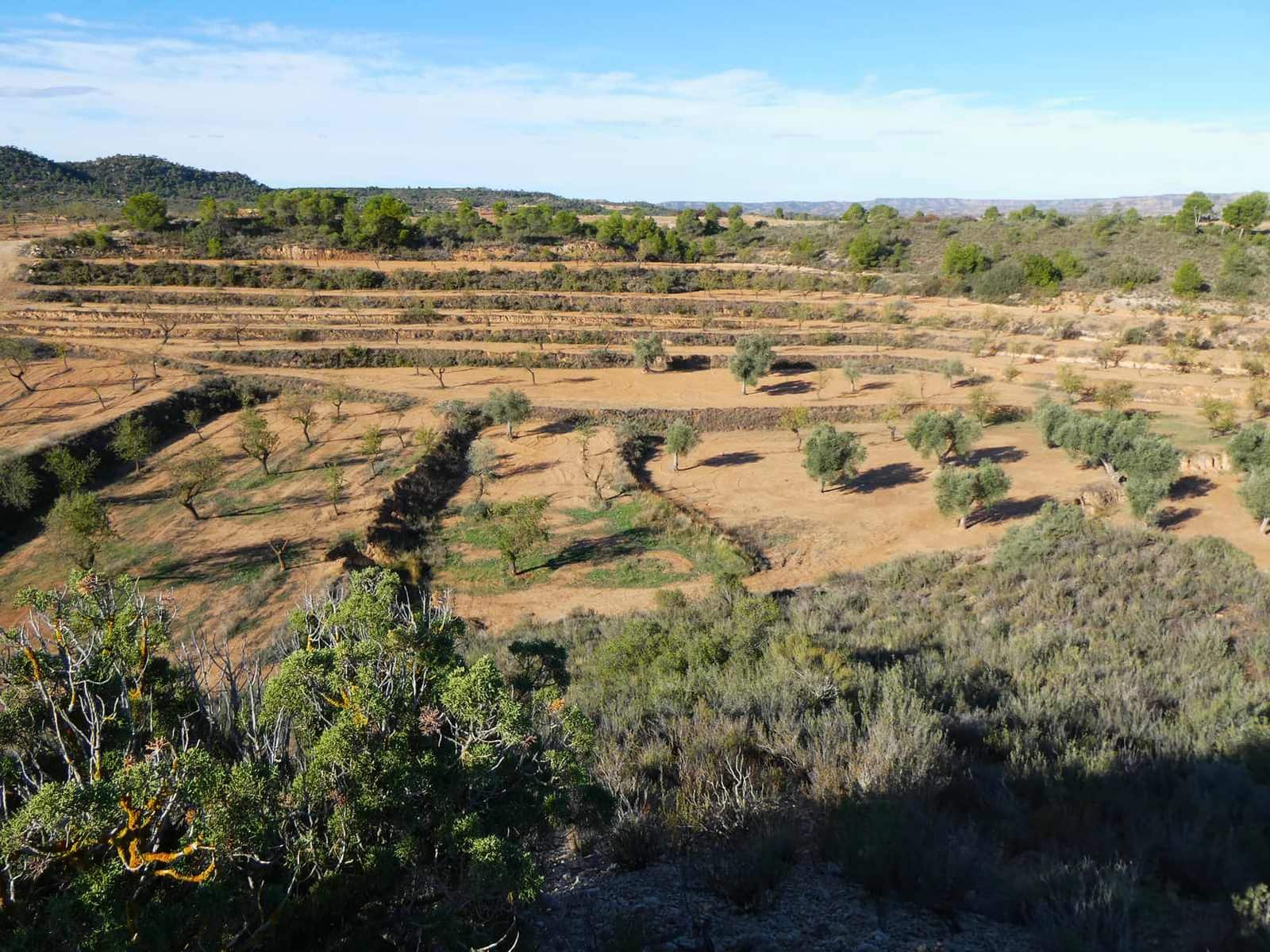 Finca/Casa Rural en Maella en venta - 15.000 € (Ref: 8575834)