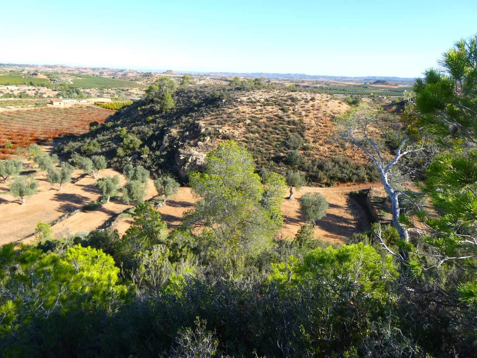 Finca/Casa Rural en Maella en venta - 15.000 € (Ref: 8575834)