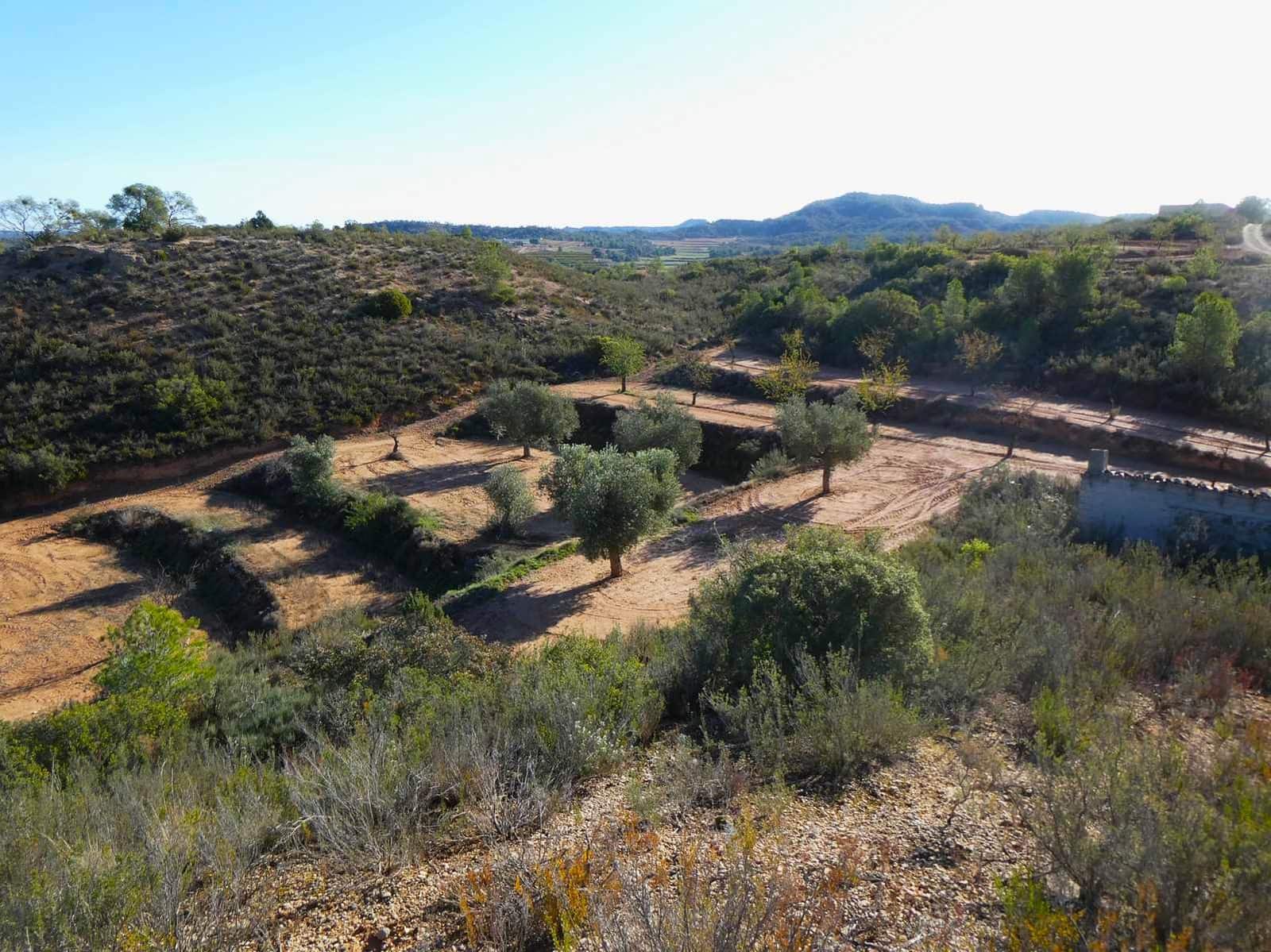 Finca/Casa Rural en Maella en venta - 15.000 € (Ref: 8575834)