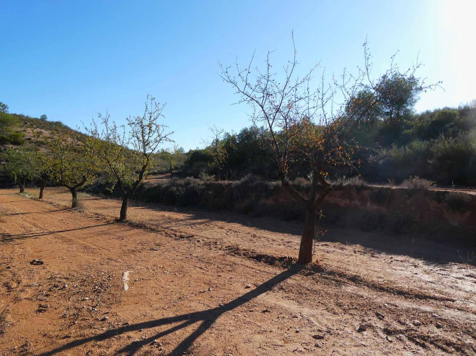 Finca/Casa Rural en Maella en venta - 15.000 € (Ref: 8575834)