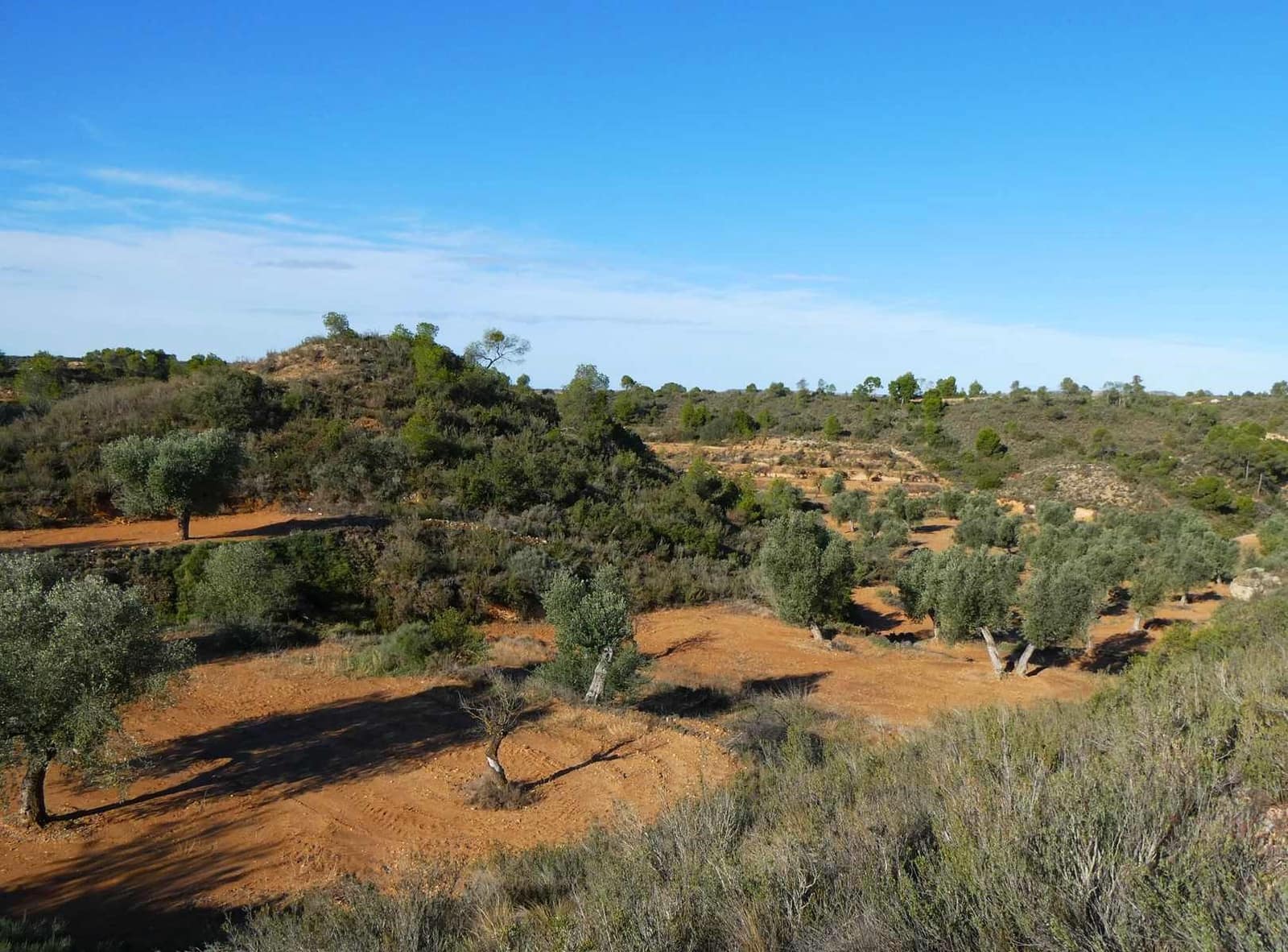 Finca/Casa Rural en Maella en venta - 15.000 € (Ref: 8575834)