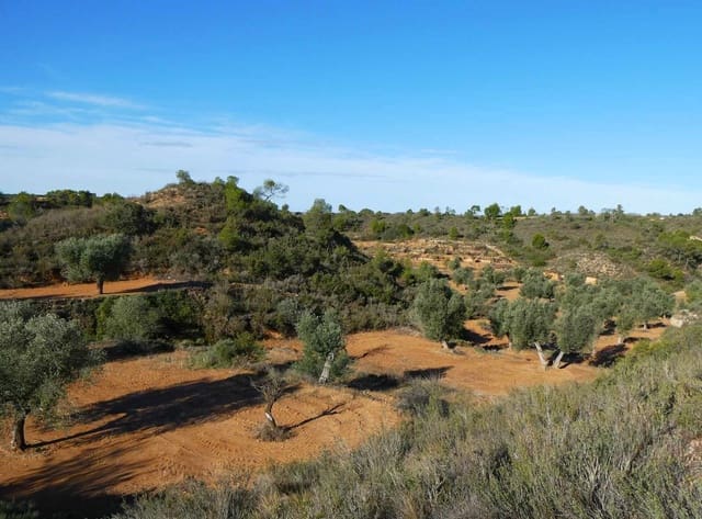 Finca/Casa Rural en Maella en venta - 15.000 € (Ref: 8575834)