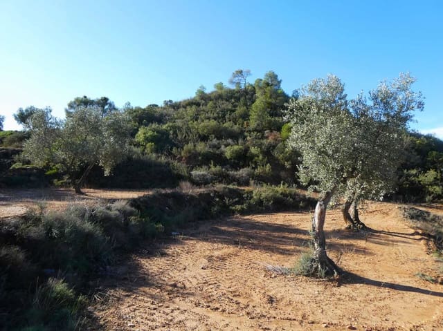 Finca/Landhuis te koop in Maella - € 15.000 (Ref: 8575834)