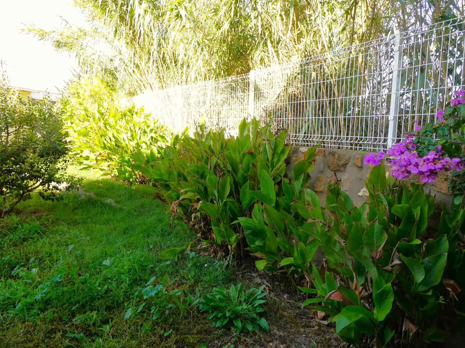 1 soveværelse Finca/Landehus til salg i Maella med swimmingpool garage - € 69.000 (Ref: 8669576)