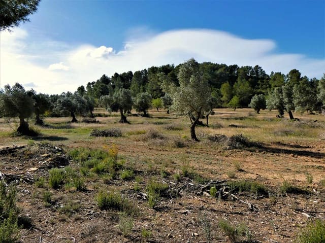 Finca/Casa di Campagna in vendita in Calaceite - 39.000 € (Rif: 8672378)